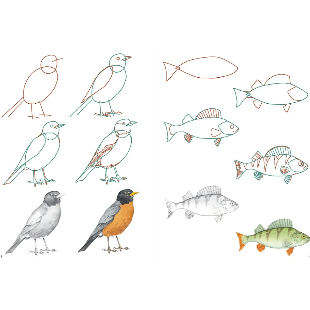 How to Draw: Nature