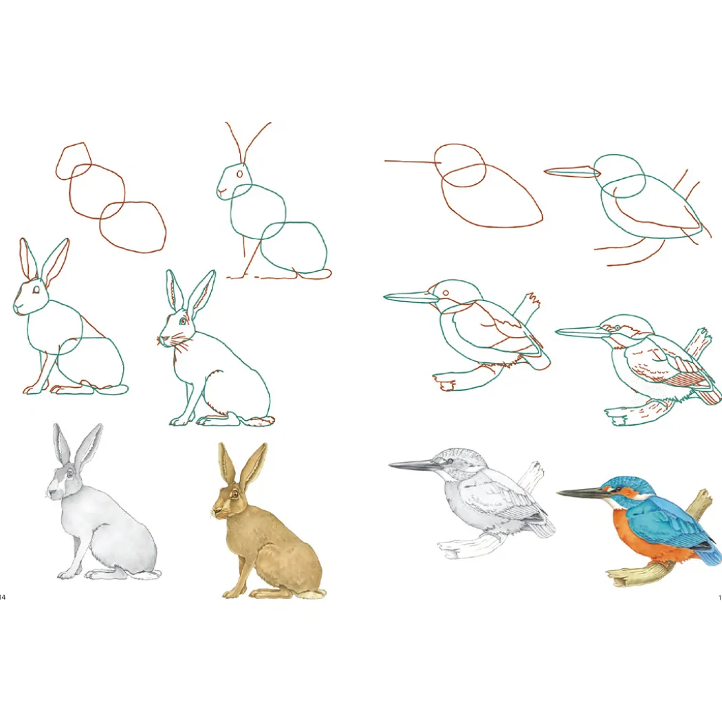 How to Draw: Nature