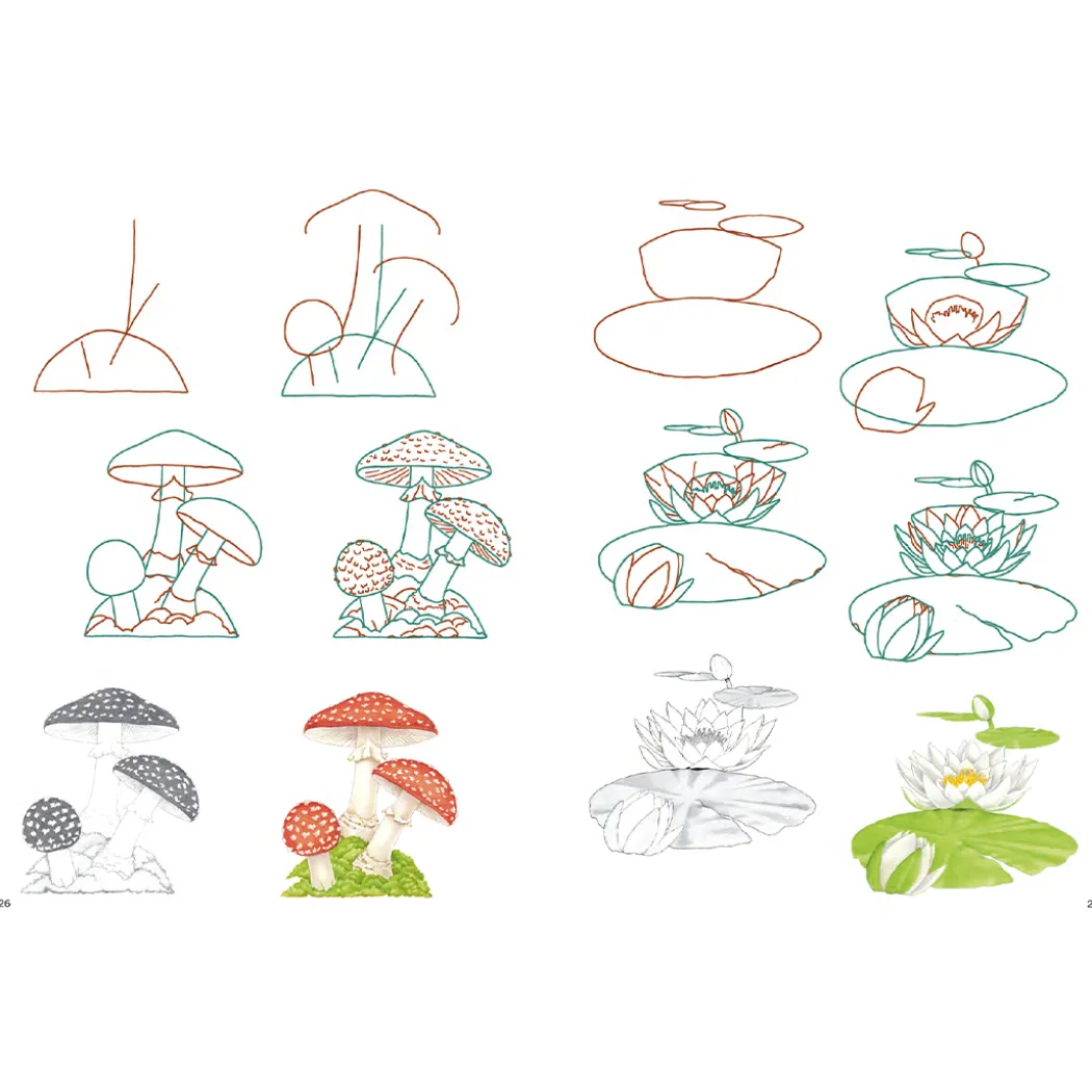 How to Draw: Nature