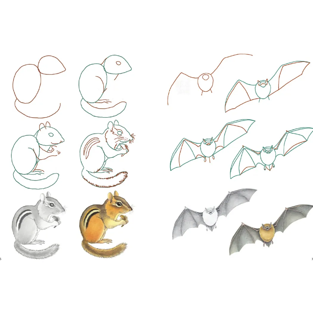 How to Draw: Nature