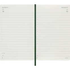 Kalender 12M Daily 2027 Softcover Pocket Myrtle Green