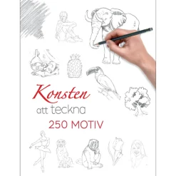 Konsten att teckna : 250 motiv