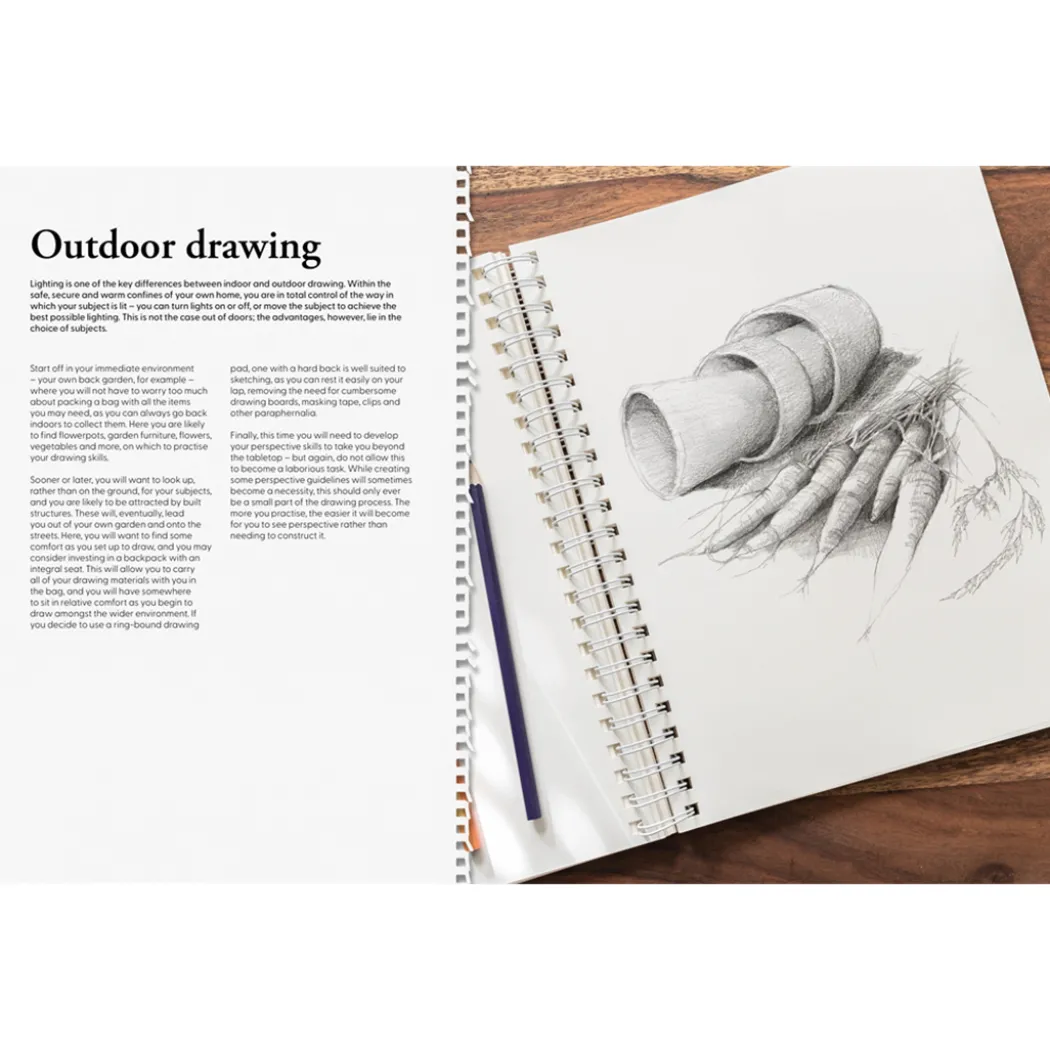 Learn to Draw in an Hour a Day