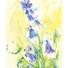 Loose and Lively Flowers in Watercolour, Inks & Mixed Media