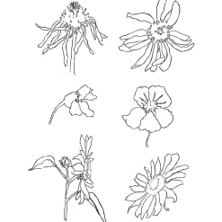 Motivstämplar Clear Stamps Blommor