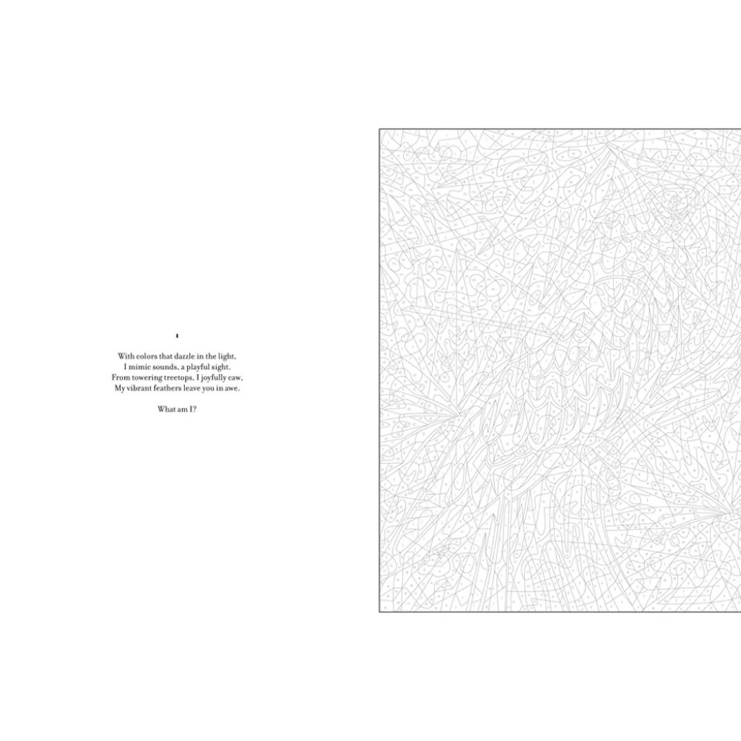 Mystery Coloring Wild Animals
