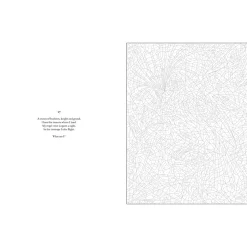 Mystery Coloring Wild Animals
