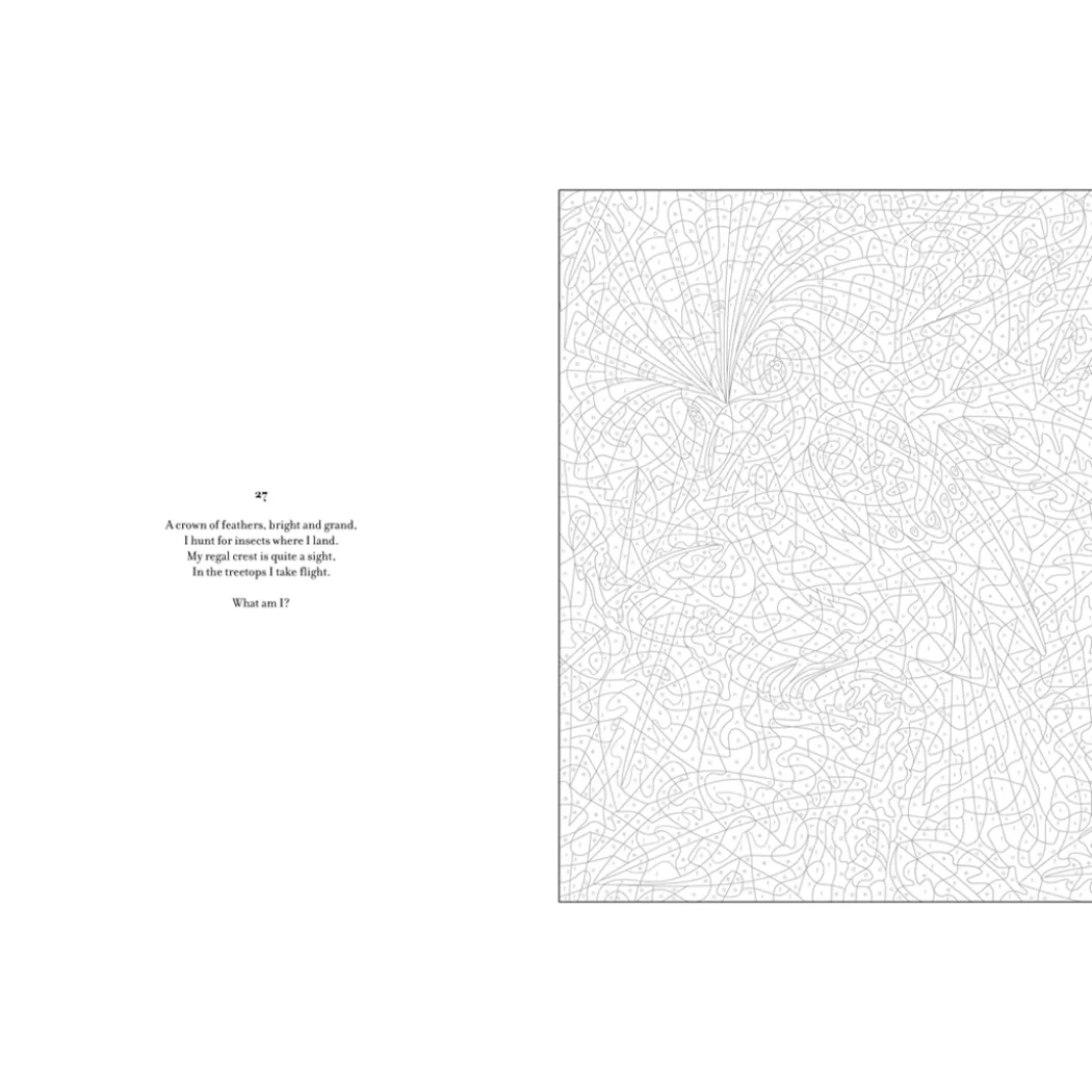 Mystery Coloring Wild Animals