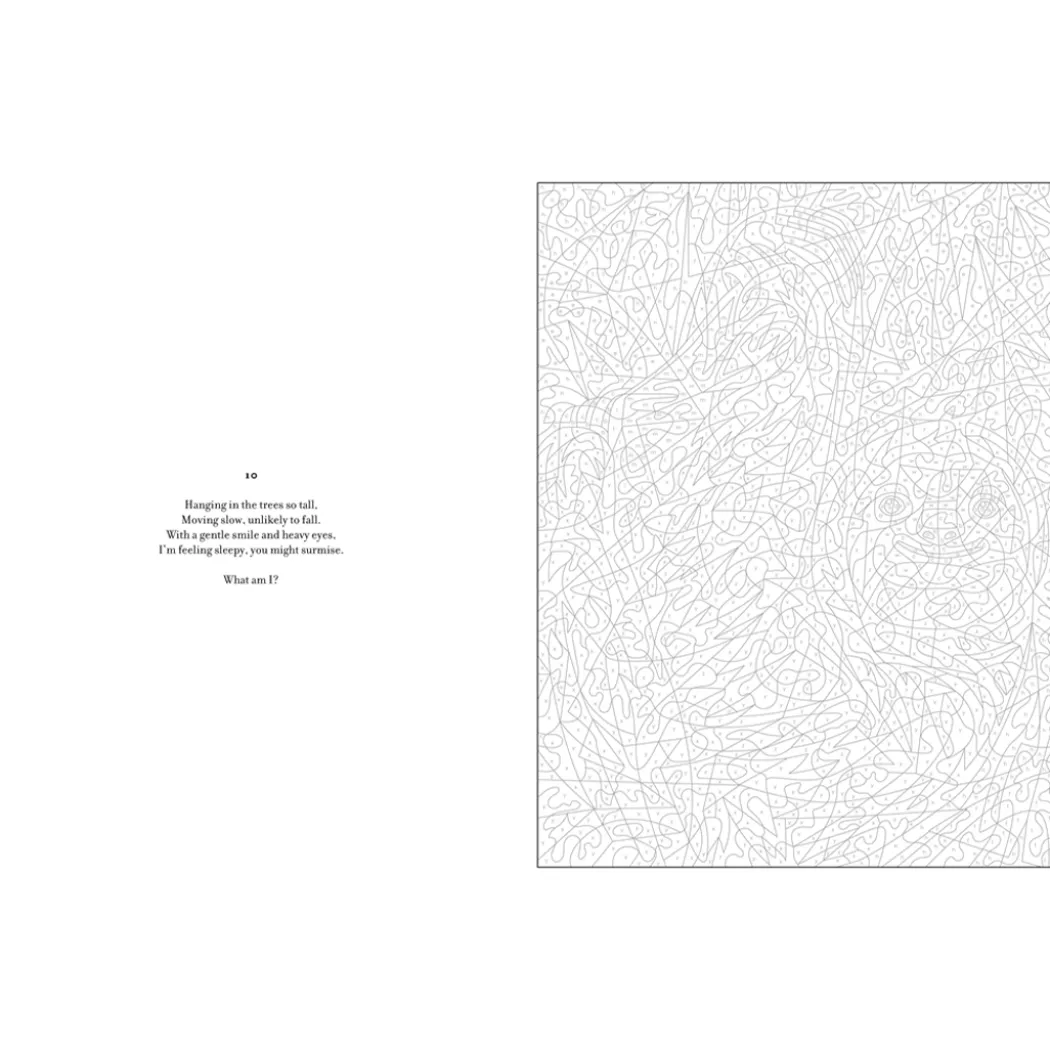 Mystery Coloring Wild Animals