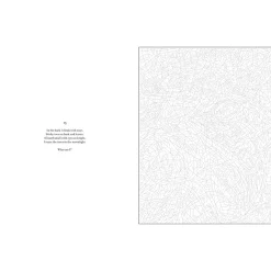 Mystery Coloring Wild Animals