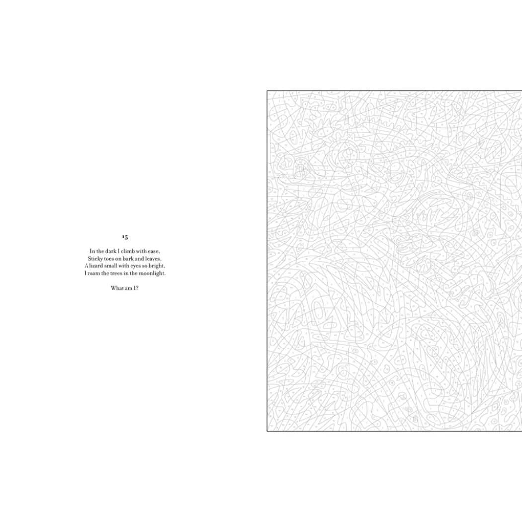 Mystery Coloring Wild Animals