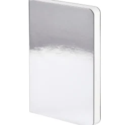 Notebook Shiny Starlet S - Silver