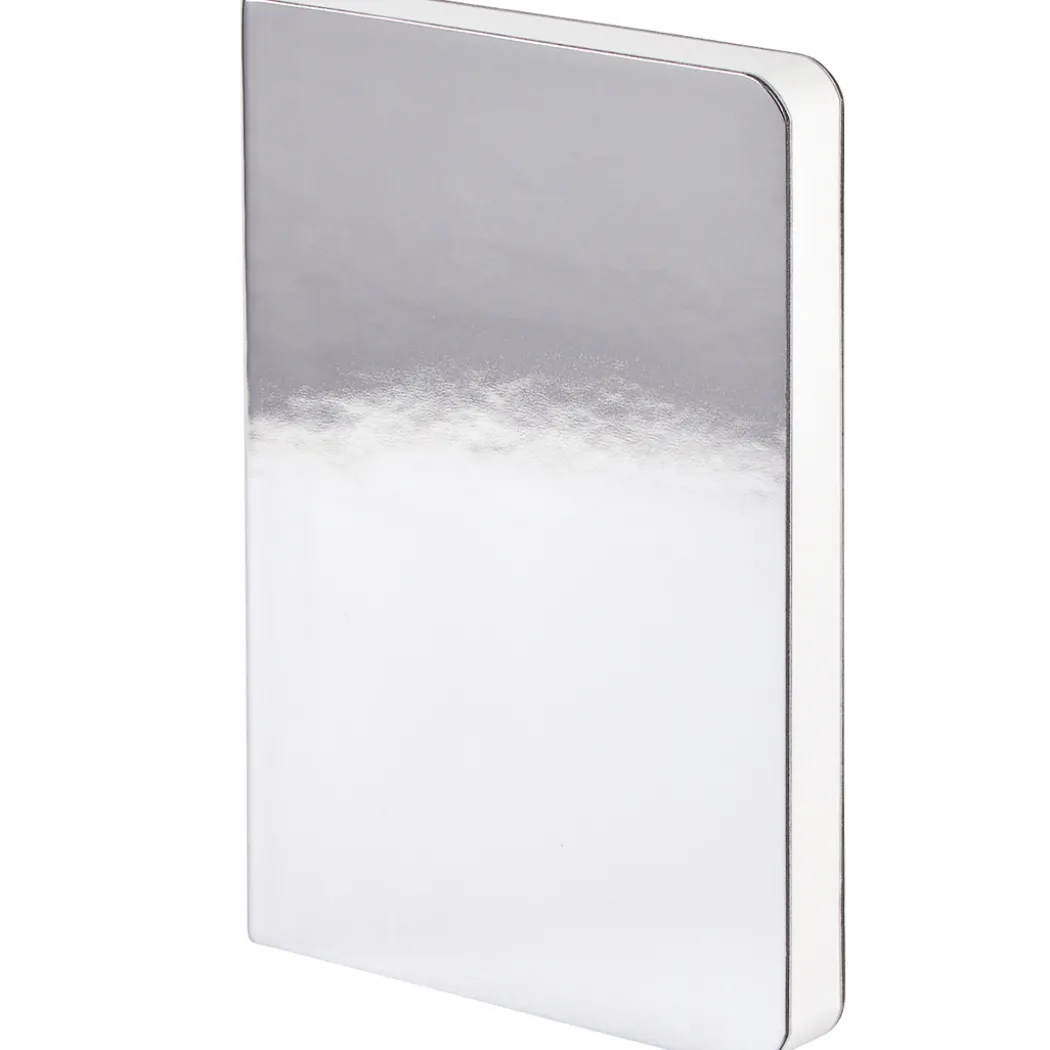 Notebook Shiny Starlet S - Silver