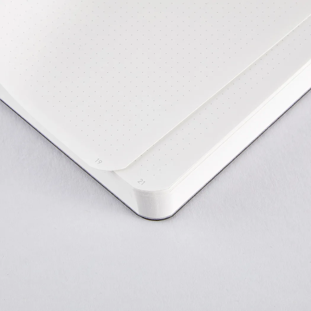 Notebook Shiny Starlet S - Silver