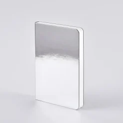 Notebook Shiny Starlet S - Silver