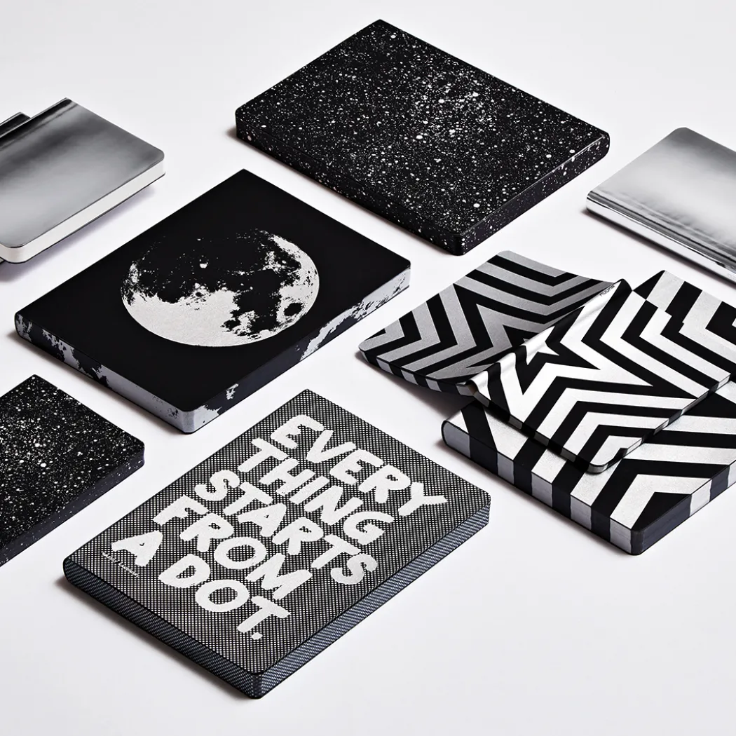 Notebook Shiny Starlet S - Silver