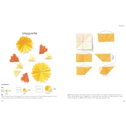 Origami for the Absolute Beginner
