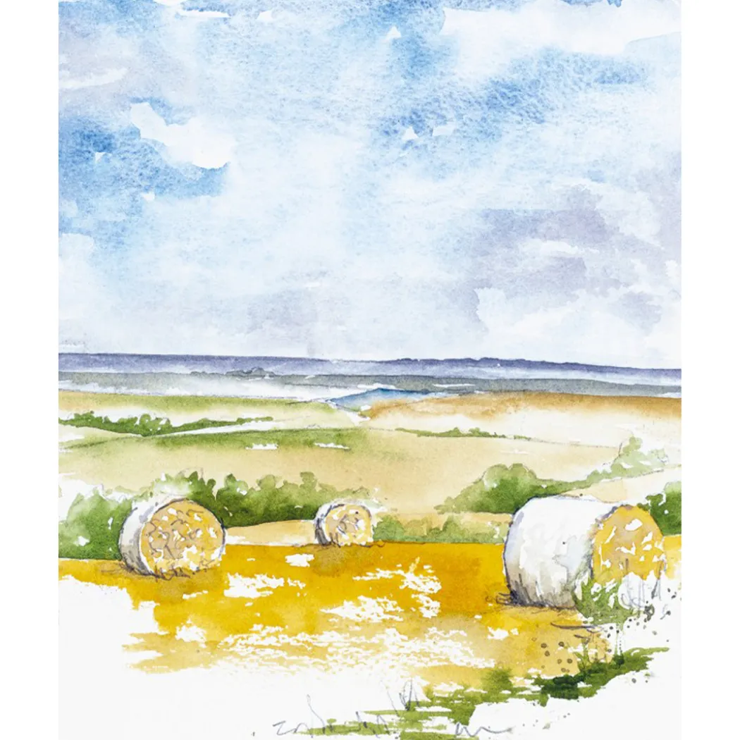 Painting Landscapes