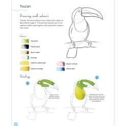 Paint 50: Watercolour Animals