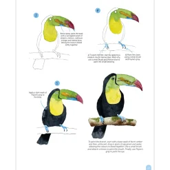 Paint 50: Watercolour Animals