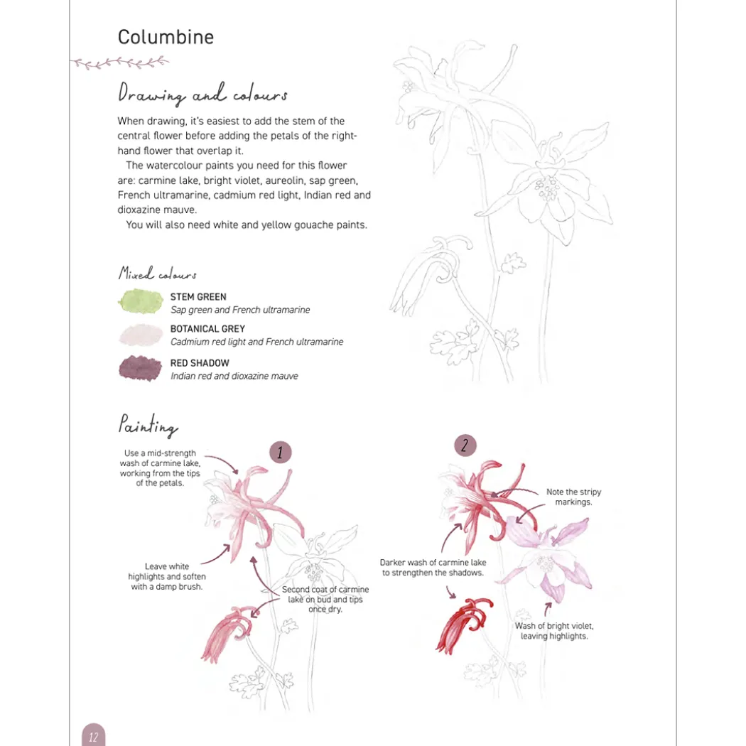 Paint 50: Watercolour Flowers