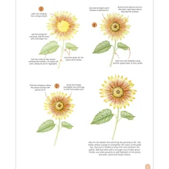 Paint 50: Watercolour Flowers