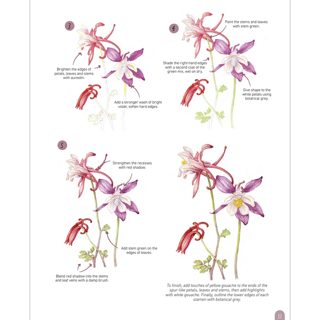 Paint 50: Watercolour Flowers