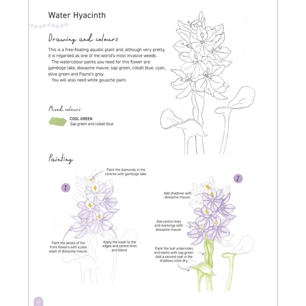 Paint 50: Watercolour Flowers