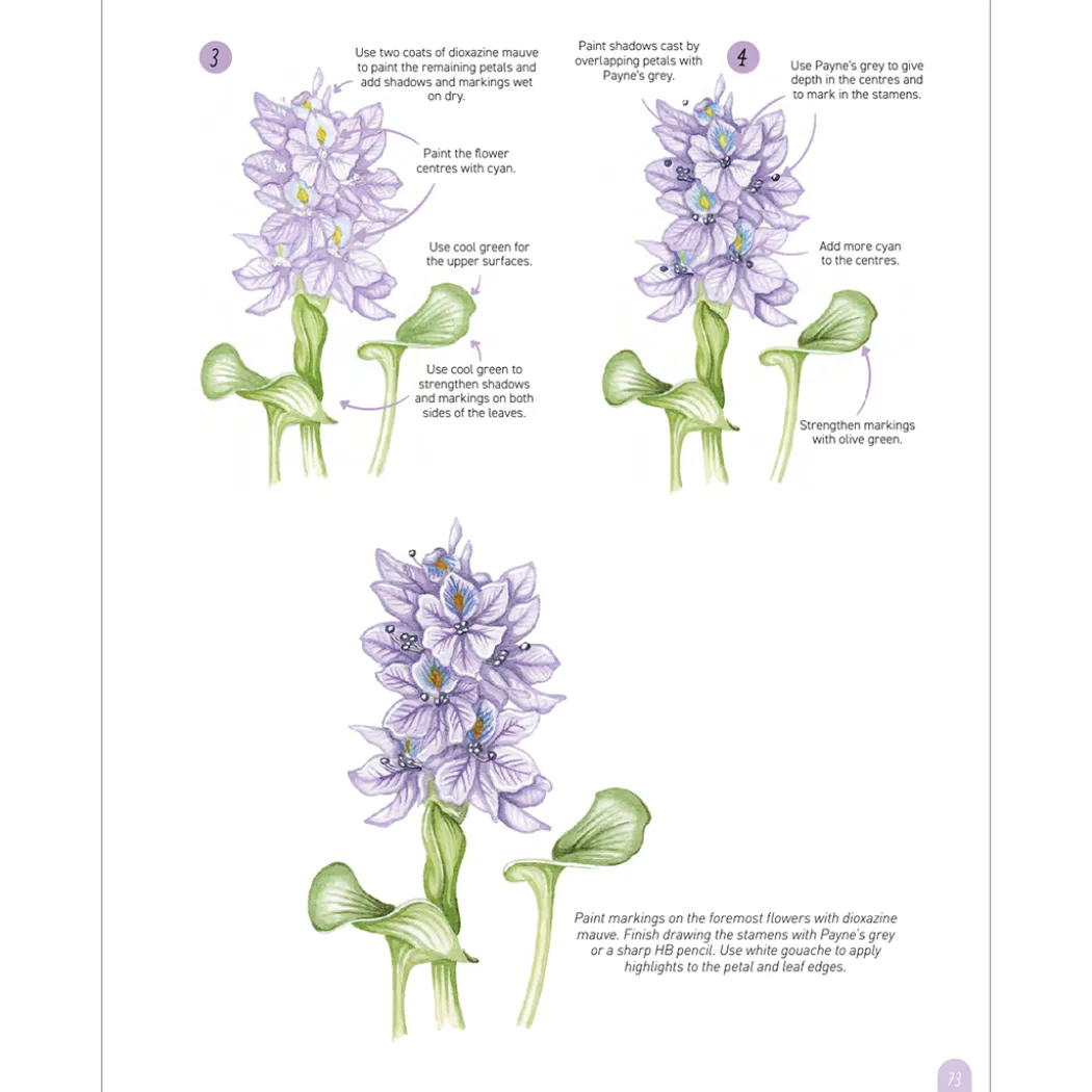 Paint 50: Watercolour Flowers