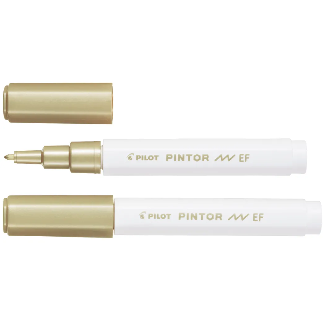 Pintor Extra Fine Tip
