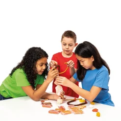 Plastilina Modellera 6-set Hudfärger 15 g