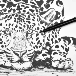 Pocket Brush Pen Set Black