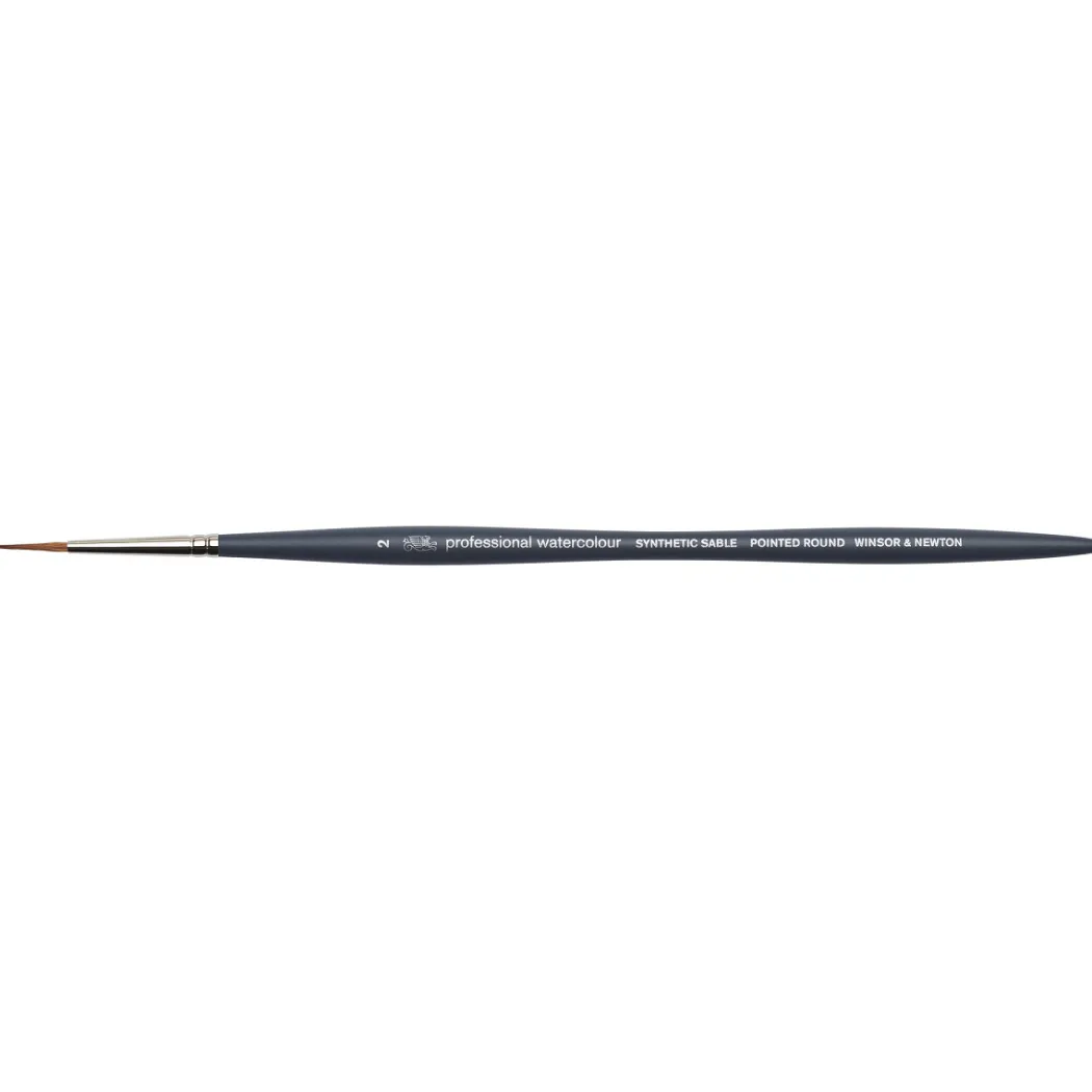 Professional Pensel Pointed Round St 2