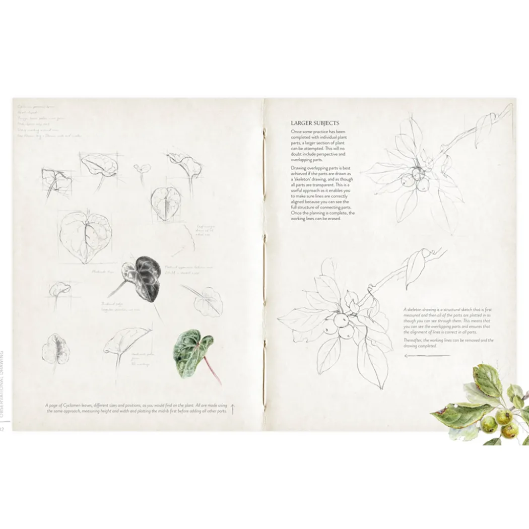 Sketching Nature