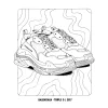 Sneaker Coloring Book