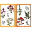 10 Step Drawing: Botanicals