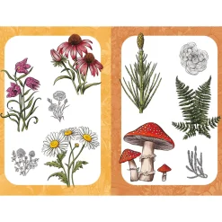10 Step Drawing: Botanicals