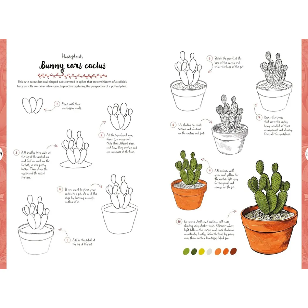 10 Step Drawing: Botanicals