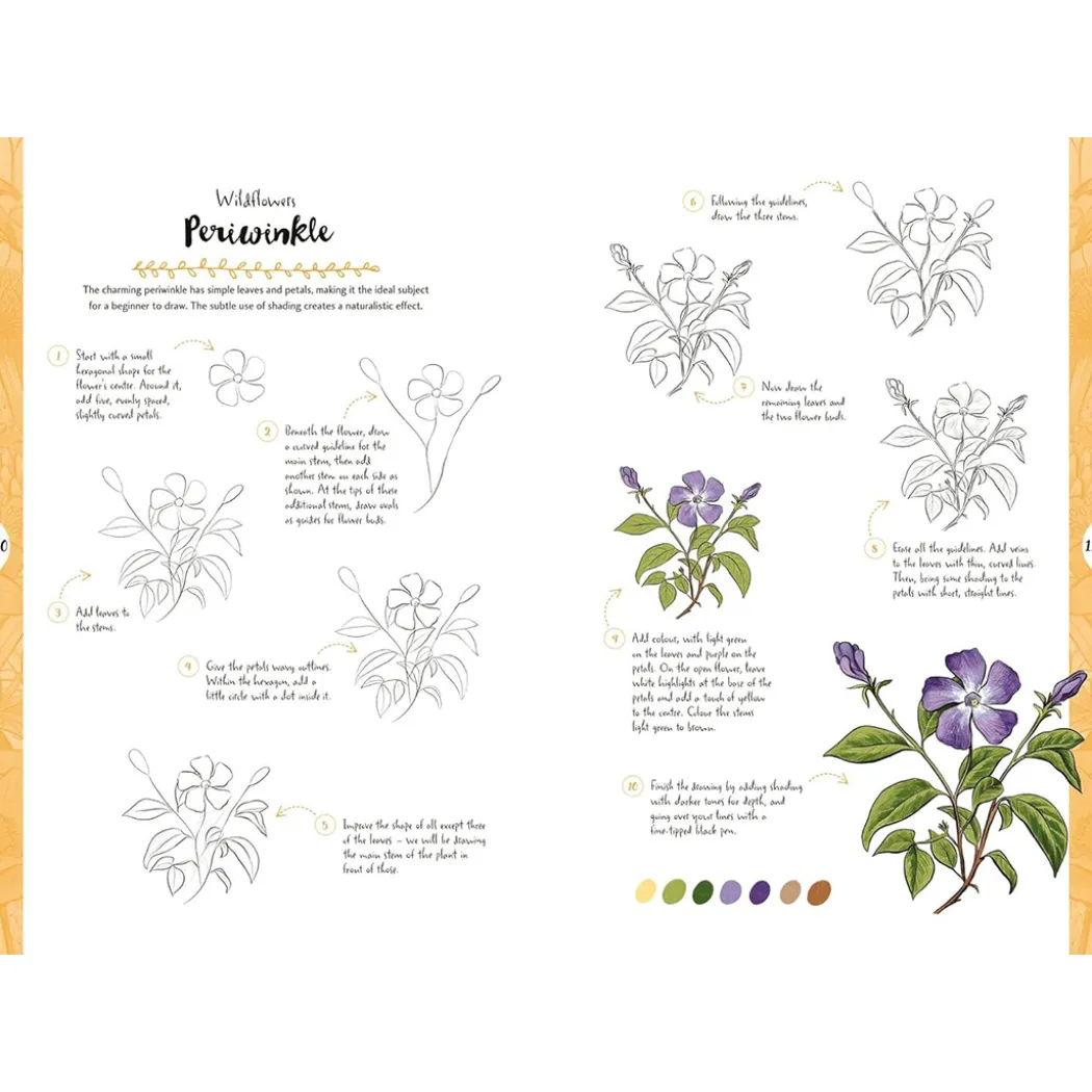 10 Step Drawing: Botanicals