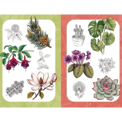 10 Step Drawing: Botanicals