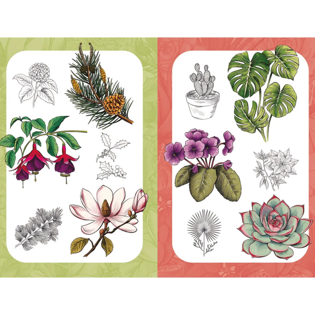 10 Step Drawing: Botanicals