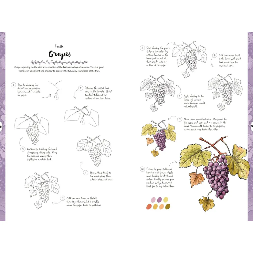 10 Step Drawing: Botanicals