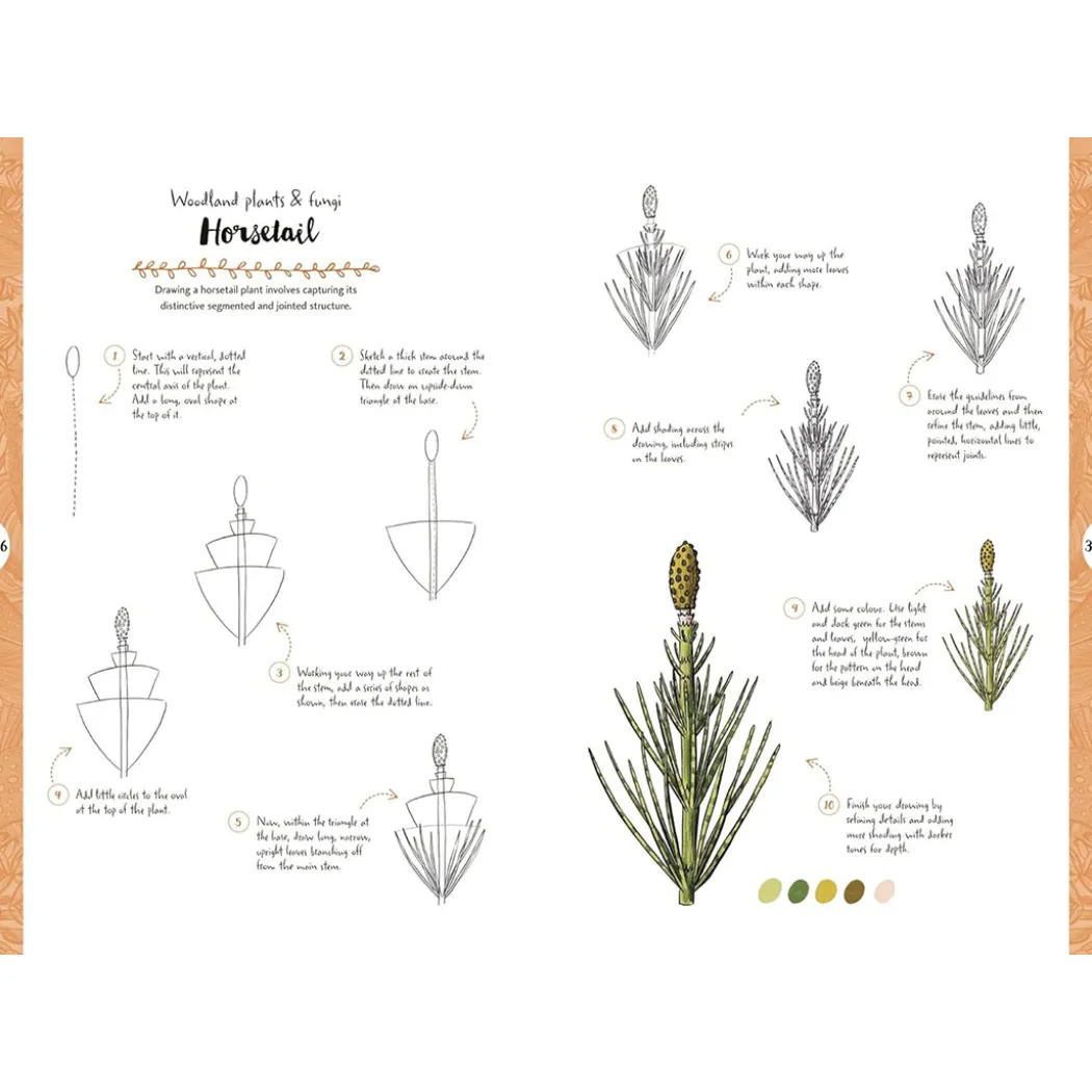 10 Step Drawing: Botanicals