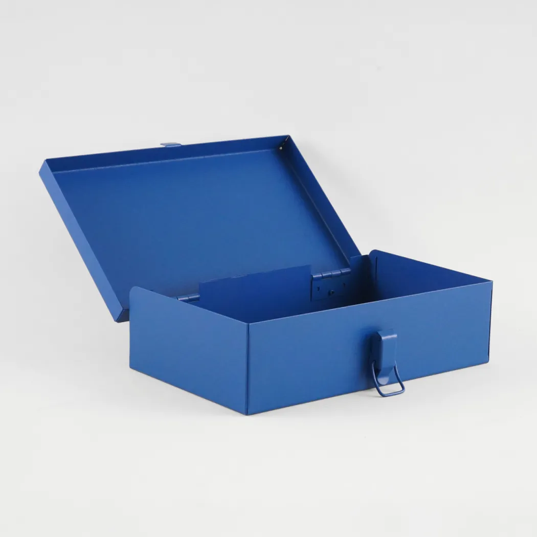 Storage Case Blue