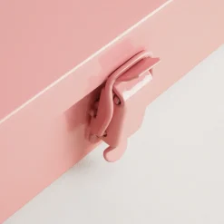 Storage Case Bright Pink