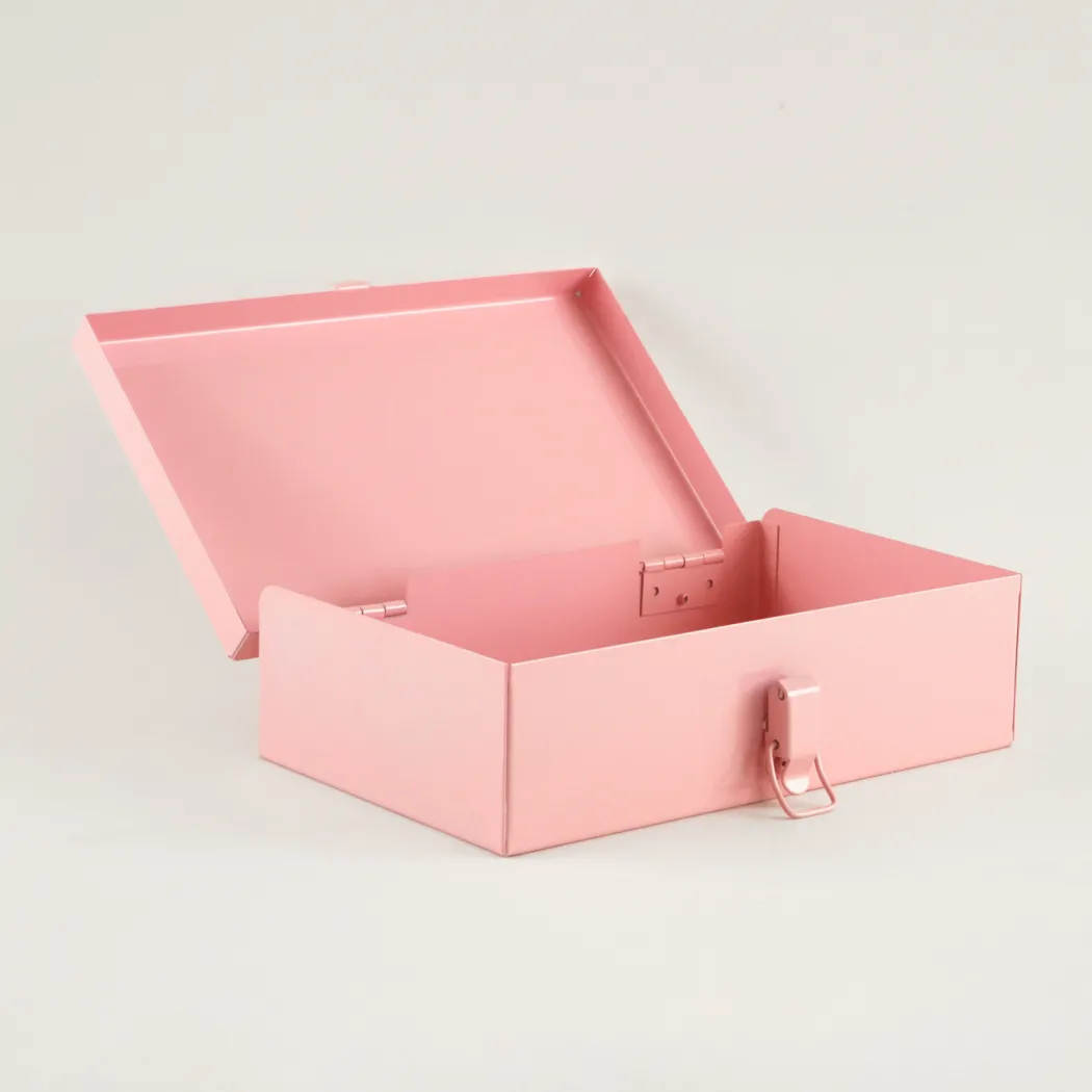 Storage Case Bright Pink