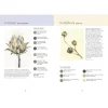 The Colour Mixing Guide: Watercolour Botanicals