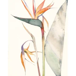 The Colour Mixing Guide: Watercolour Botanicals
