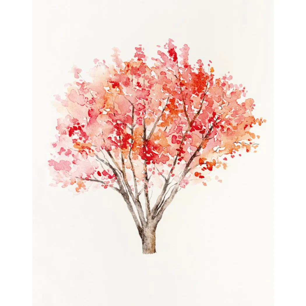 The Colour Mixing Guide: Watercolour Woodland