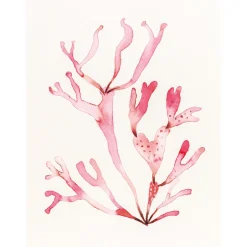 The Colour Mixing Guide: Watercolour Seashore